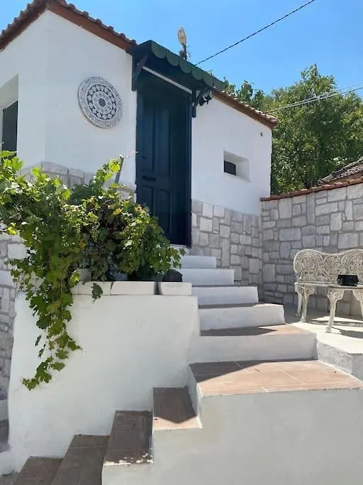 Oezel Havuzlu Kiralik Tas Villa Kusadasi